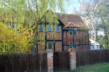 The Timbers February 2010